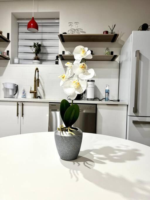 Luxury And Cozy 1 Bed Condo In The Heart Of Providence Kültér fotó